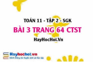 Bài 3 trang 64 Toán 11 tập 2 Chân trời sáng tạo